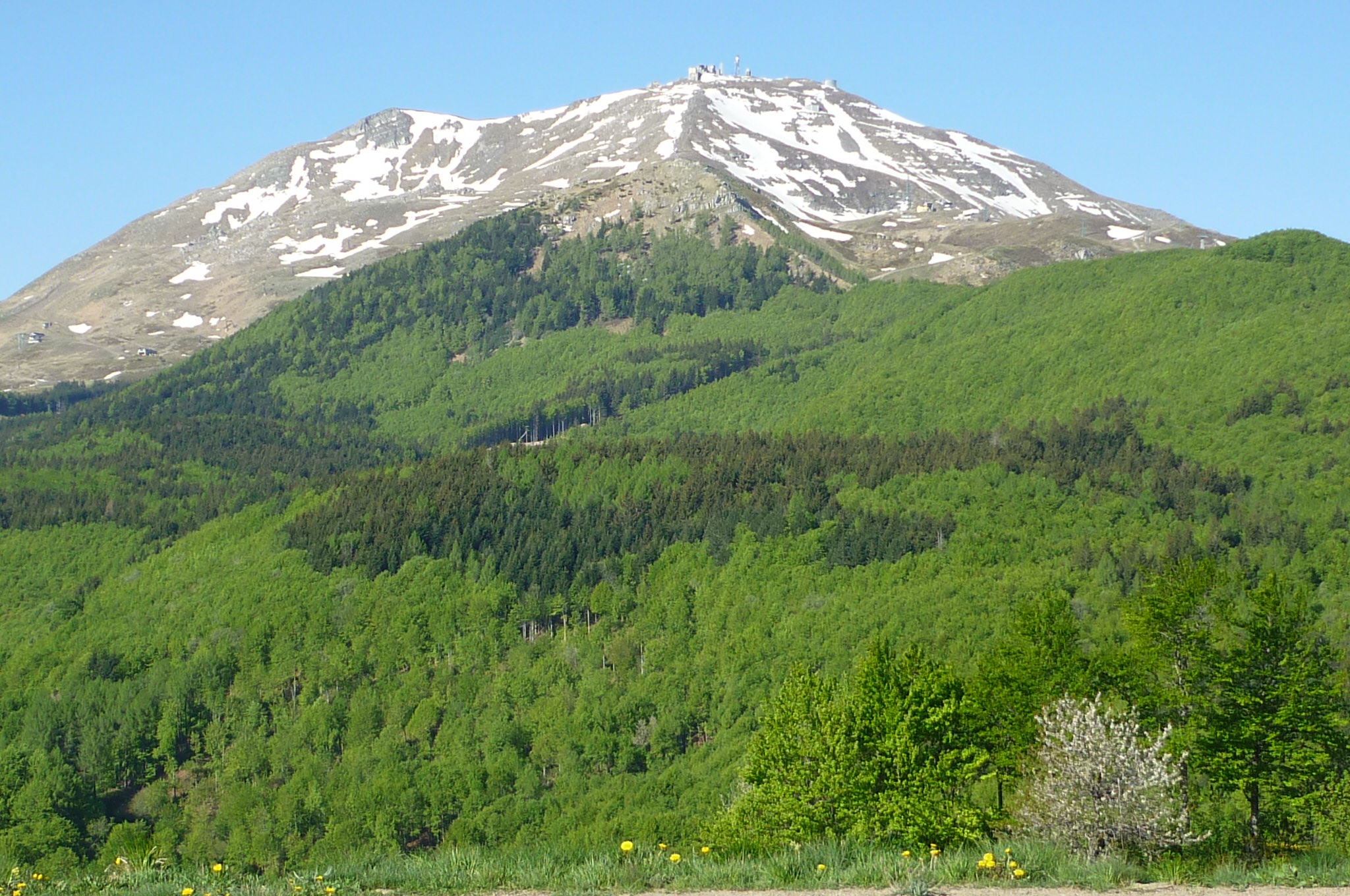 Appenine Deciduous Montane Forests One Earth   644  Cimone Mountain%2C Northern Apennine CC 2010 